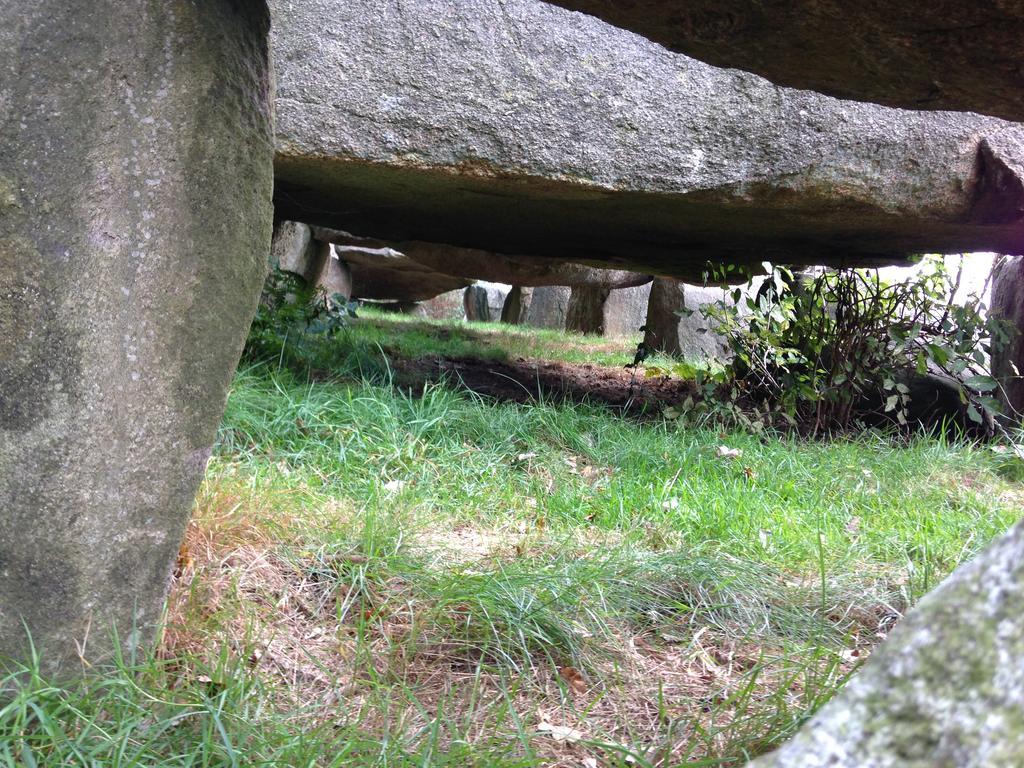 波斯住宿加早餐旅馆 Meppen 外观 照片